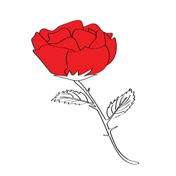 rose for valentine&#039 s day, please check my profile for similar drawings.
