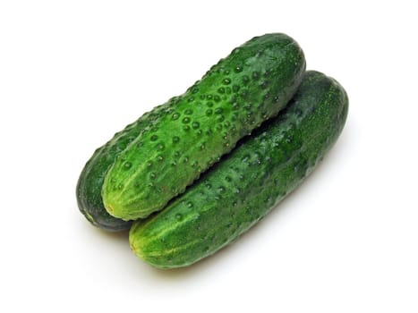 some pickling cucumbers (cucumis sativus)