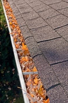 Home maintenance problem: Fall leaves in rain gutter.