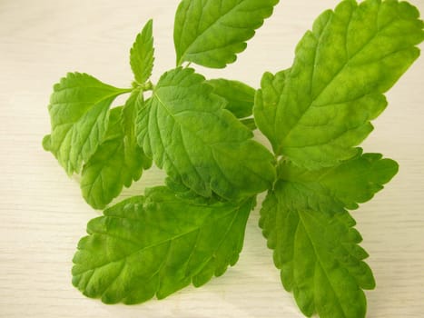 Aztec Sweet Herb