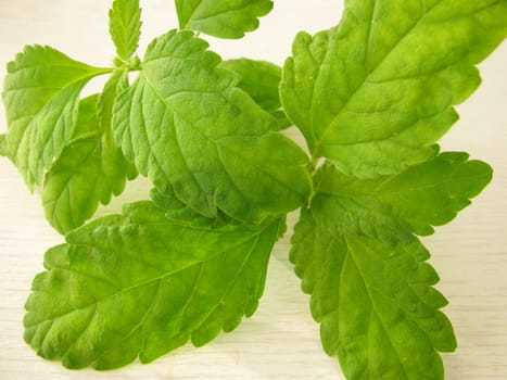 Aztec Sweet Herb