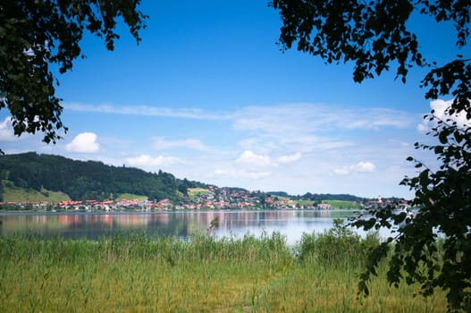 View of the Hopfensee with the municipality of Hopfen am See behind it under blue skies with small white clouds in the Allgäu / Bavaria in summer framed by trees and reed belts