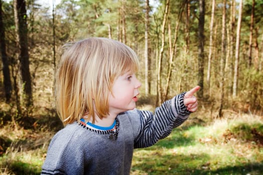 Child in forest looking scared or surprised. boy in wood with curious expression