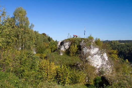 View