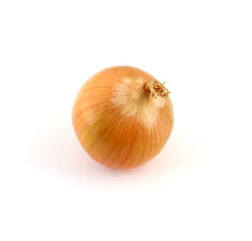 Onion against a white background