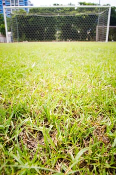 soccer field with a focused foreground.