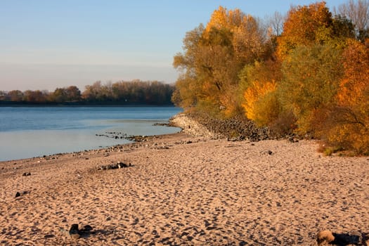 Beach in autumn sun on the Rhine