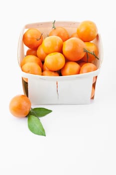 Tangerines (Citrus reticulata)