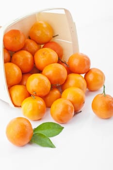 Tangerines (Citrus reticulata)