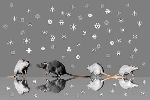 Black ice and snowflakes