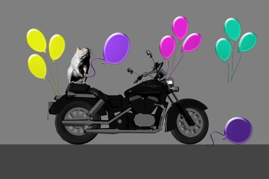 Motorcycles and Mouse