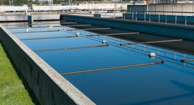 basin where the wasted water is being filtered