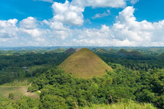 view over the famous chocolate hills on Bohol, Philippines. They are also featured in the provincial flag