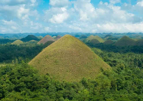 view over the famous chocolate hills on Bohol, Philippines. They are also featured in the provincial flag