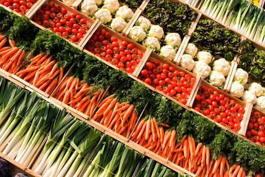 many fresh, different types of vegetables on market
