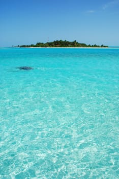 beautiful photo of a maldivian island with a great waterview