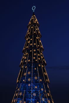 close up on a beautiful and tall Christmas tree