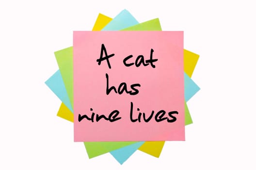 text "A cat has nine lives"" written by hand font on bunch of colored sticky notes"