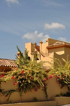 yellow spanish house with bougainvillea flowers in Marbella, Spain
