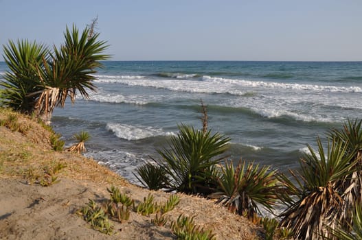 beautiful beach scene in Costa del Sol (Marbella), Spain