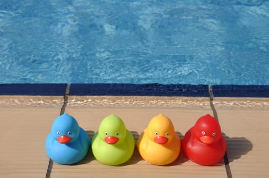 four colorful rubber ducks at the pool side (kids toy)