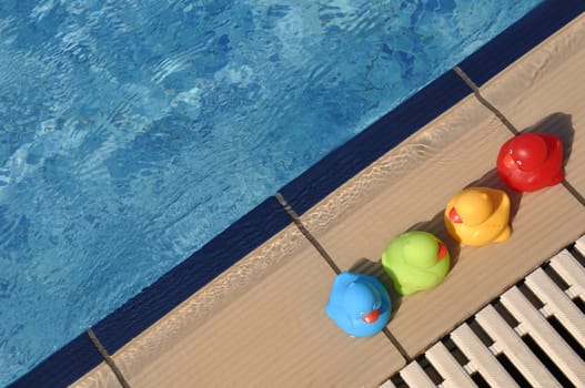 four colorful rubber ducks at the pool side (kids toy)