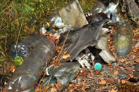 Environmental problem. Garbage dump in the forest