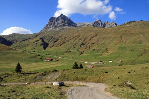 The way to the mountains