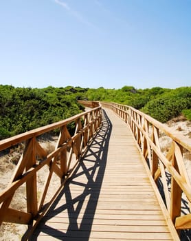 The dunes
