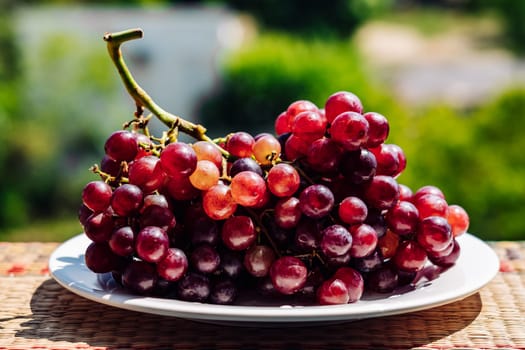 Close up bunch of bright red brown juicy ripe grapes berries, healthy sweet fruits, sunny mood, vitamins healthy food.