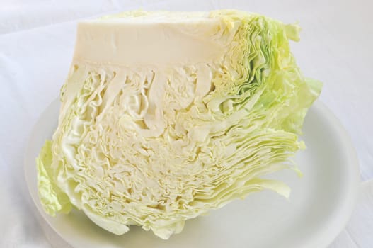 Cabbage leafy vegetable plant with edible leaves