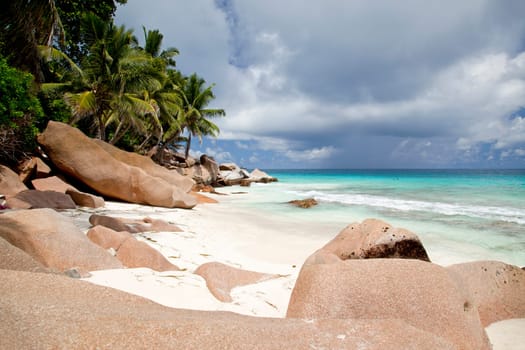 Dreamy secluded beach with palm trees - horizontal