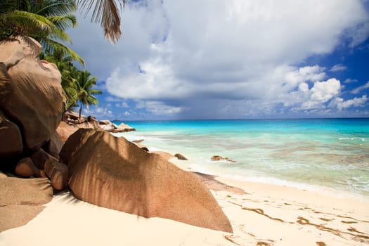 Fantastic South Sea beach with palm trees and rocks
