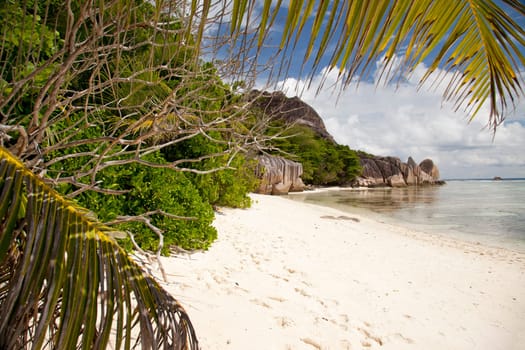 South Sea beach with palm trees and blue sea - horizontal