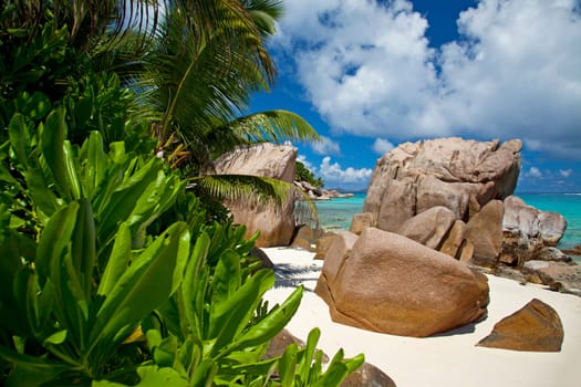 Paradise beach with exotic plants - horizontal