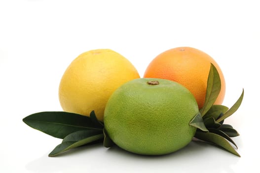 Grapefruit