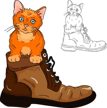 vector - Adorable little kitten inside a boot