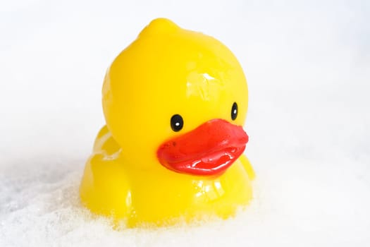 yellow cute bath duckling in a foam