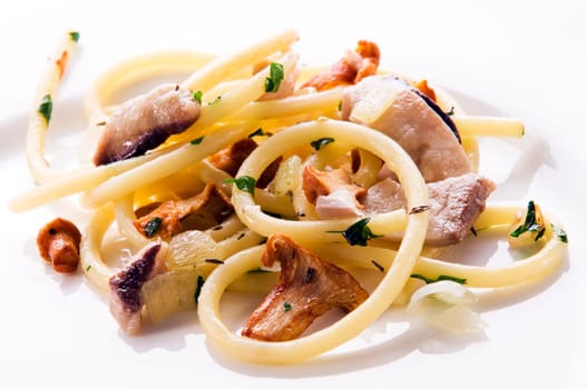 Fresh pasta with mushrooms and spices close up