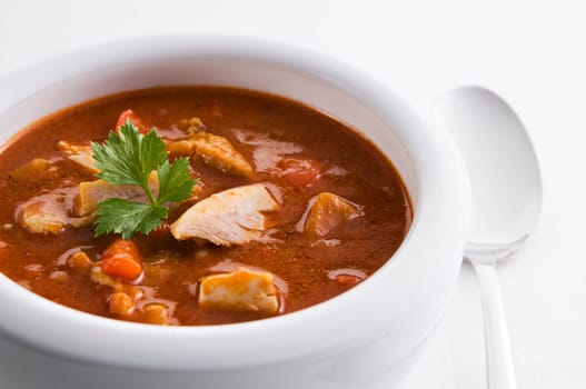 Fresh hot chicken stew in a bowl close up