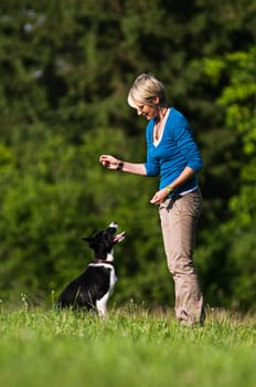 Young woman playing with border collie dog outdoor