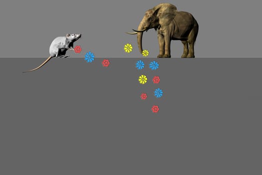 Mouse and elephant