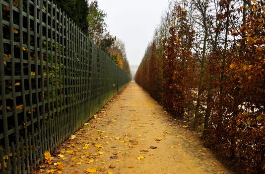 Footpath in autumn, Versailles gardens, France