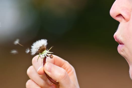 Woman is blowing on a dandelion