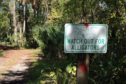 Warning sign of alligators