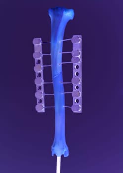 Shaded human bone foto in research center lab