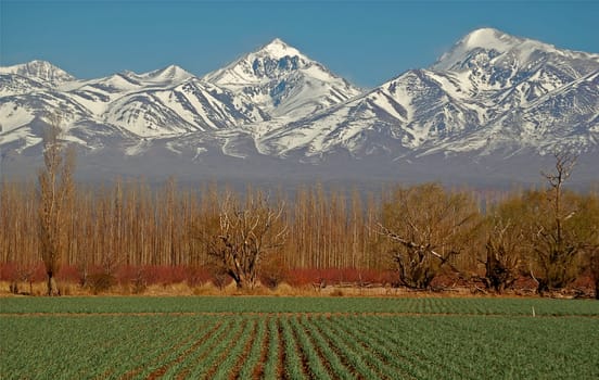 Green field before high snow peaked mountains in Argentina Mendoza region