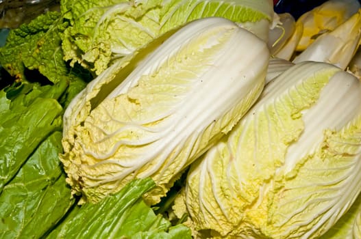 Chinese cabbage