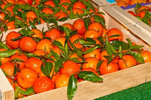 Tangerines
