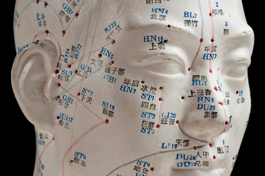 Acupuncture model